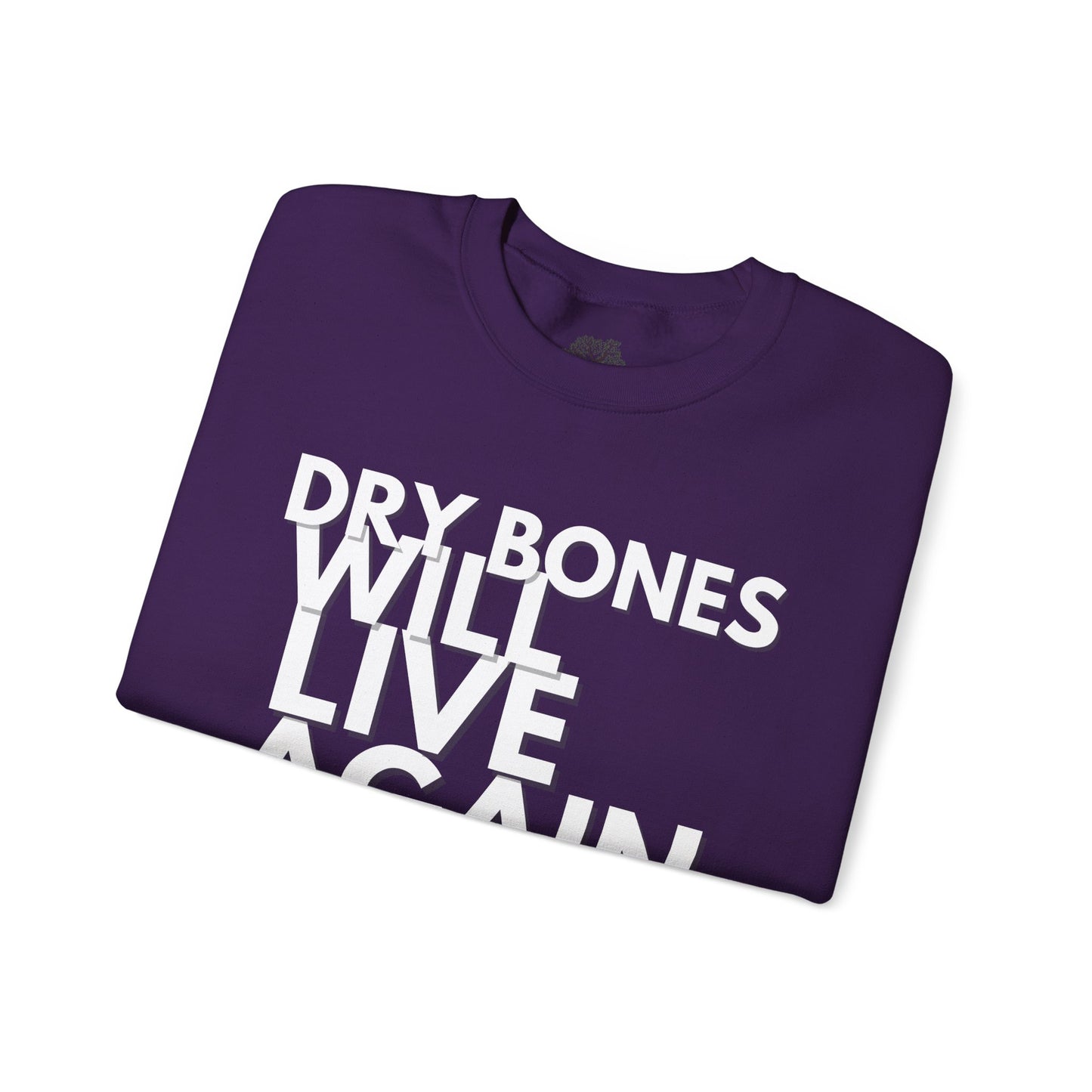 “Dry Bones Will Live Again” Crewneck Sweatshirt (Ezekiel 37:5 Inspired)