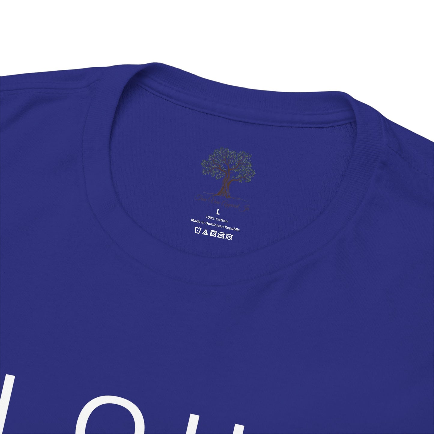 Elohim Unisex Heavy Cotton Tee