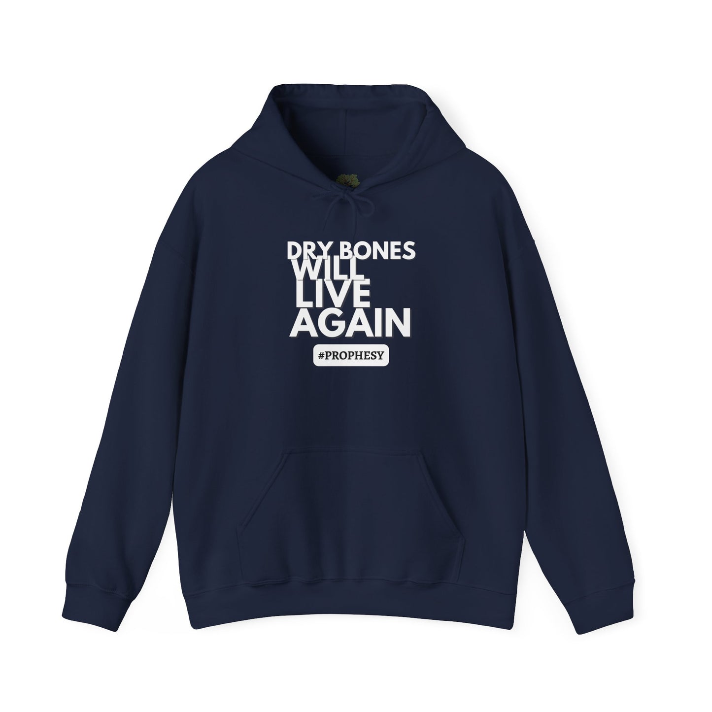 'Dry Bones Will Live Again' Unisex Sweatshirt