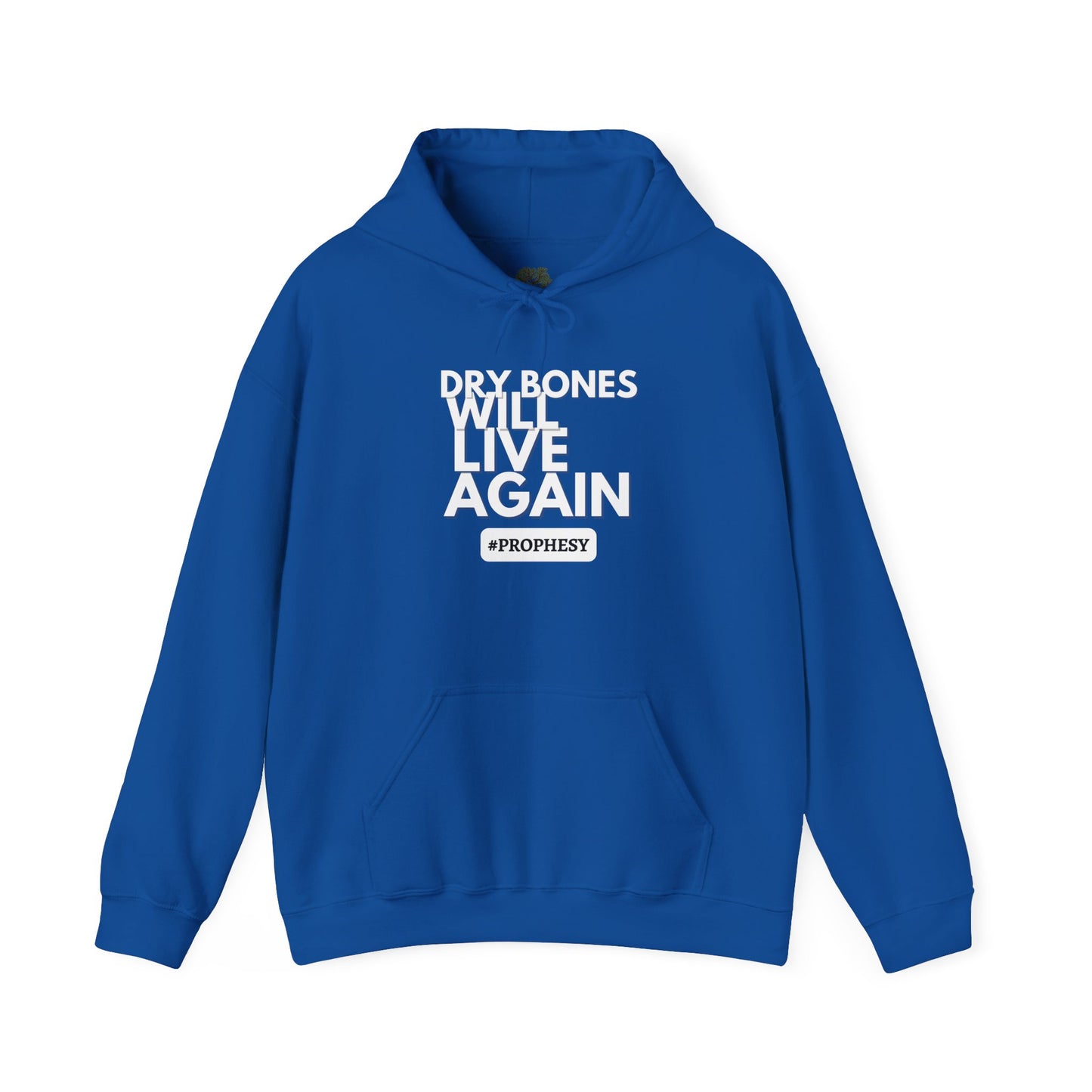 'Dry Bones Will Live Again' Unisex Sweatshirt