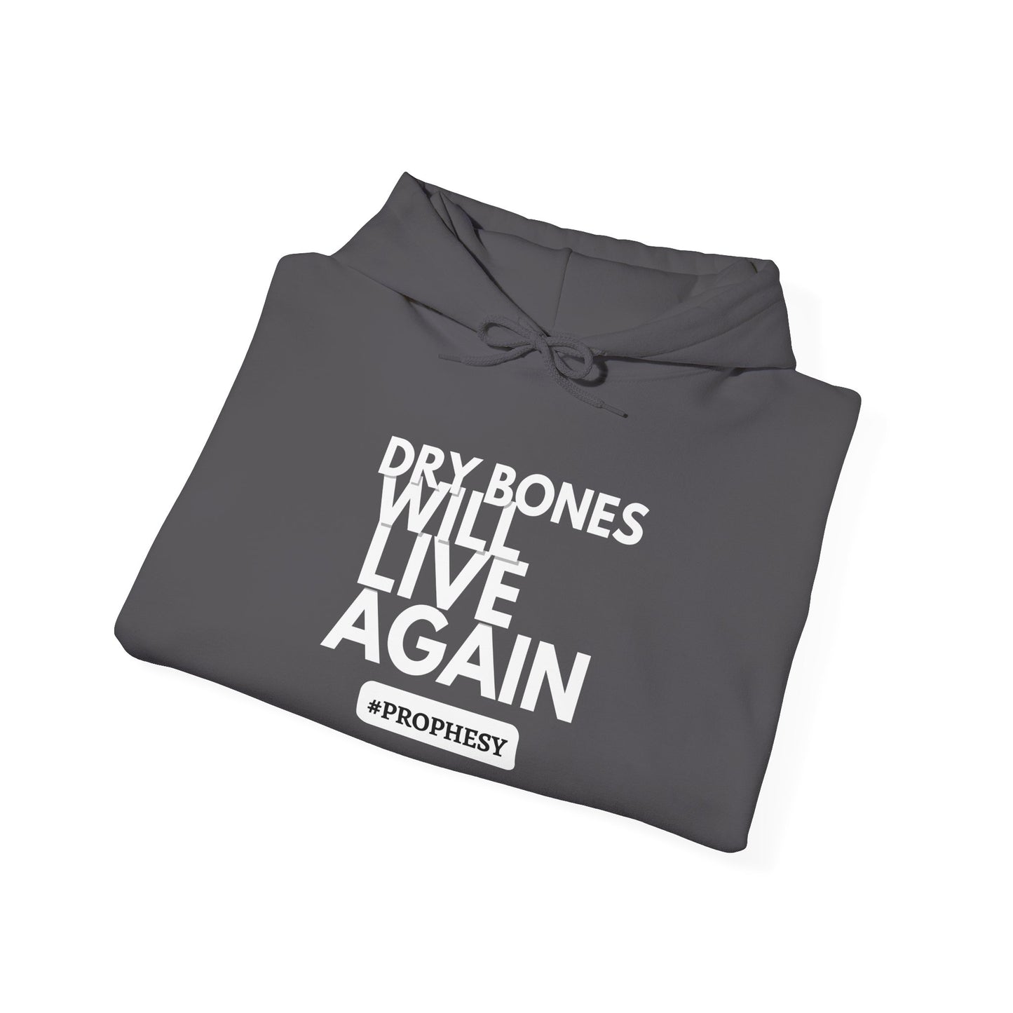 'Dry Bones Will Live Again' Unisex Sweatshirt