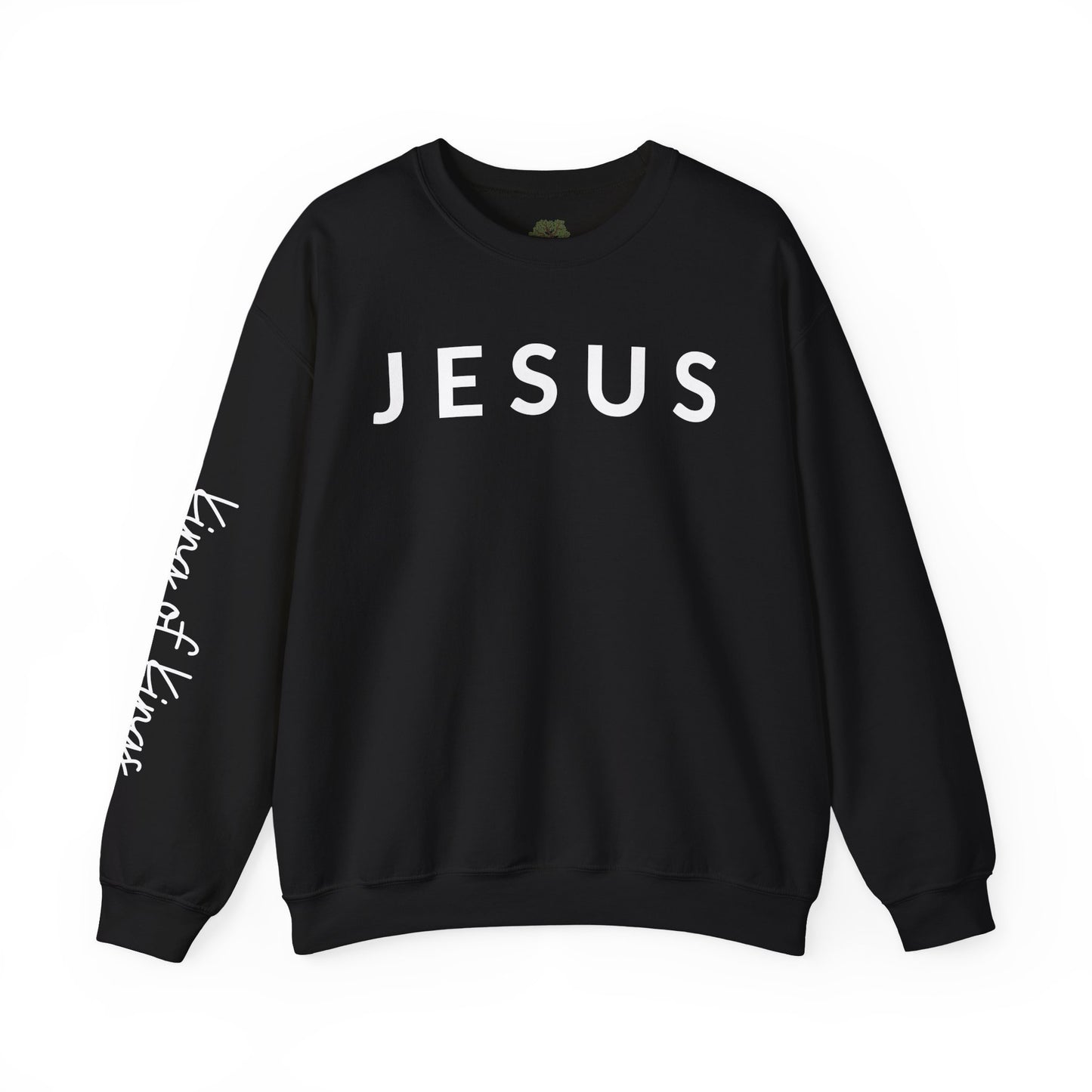 JESUS | King Of Kings Crewneck Sweatshirt