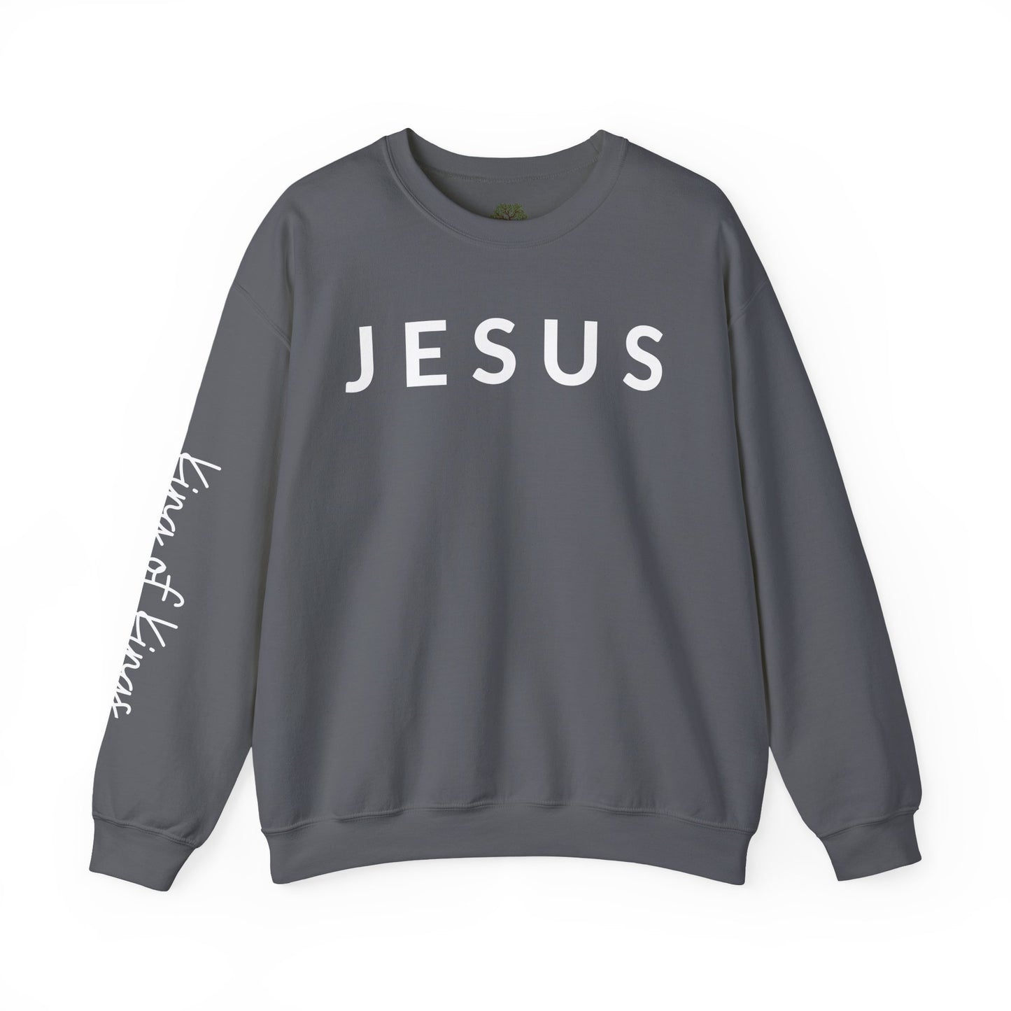 JESUS | King Of Kings Crewneck Sweatshirt