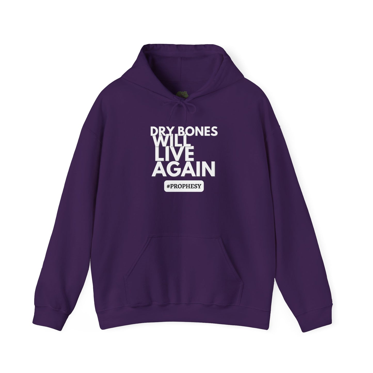 'Dry Bones Will Live Again' Unisex Sweatshirt
