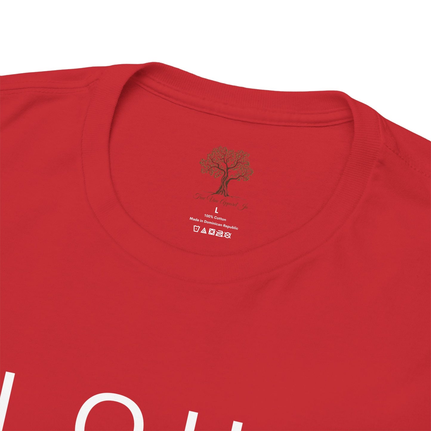 Elohim Unisex Heavy Cotton Tee