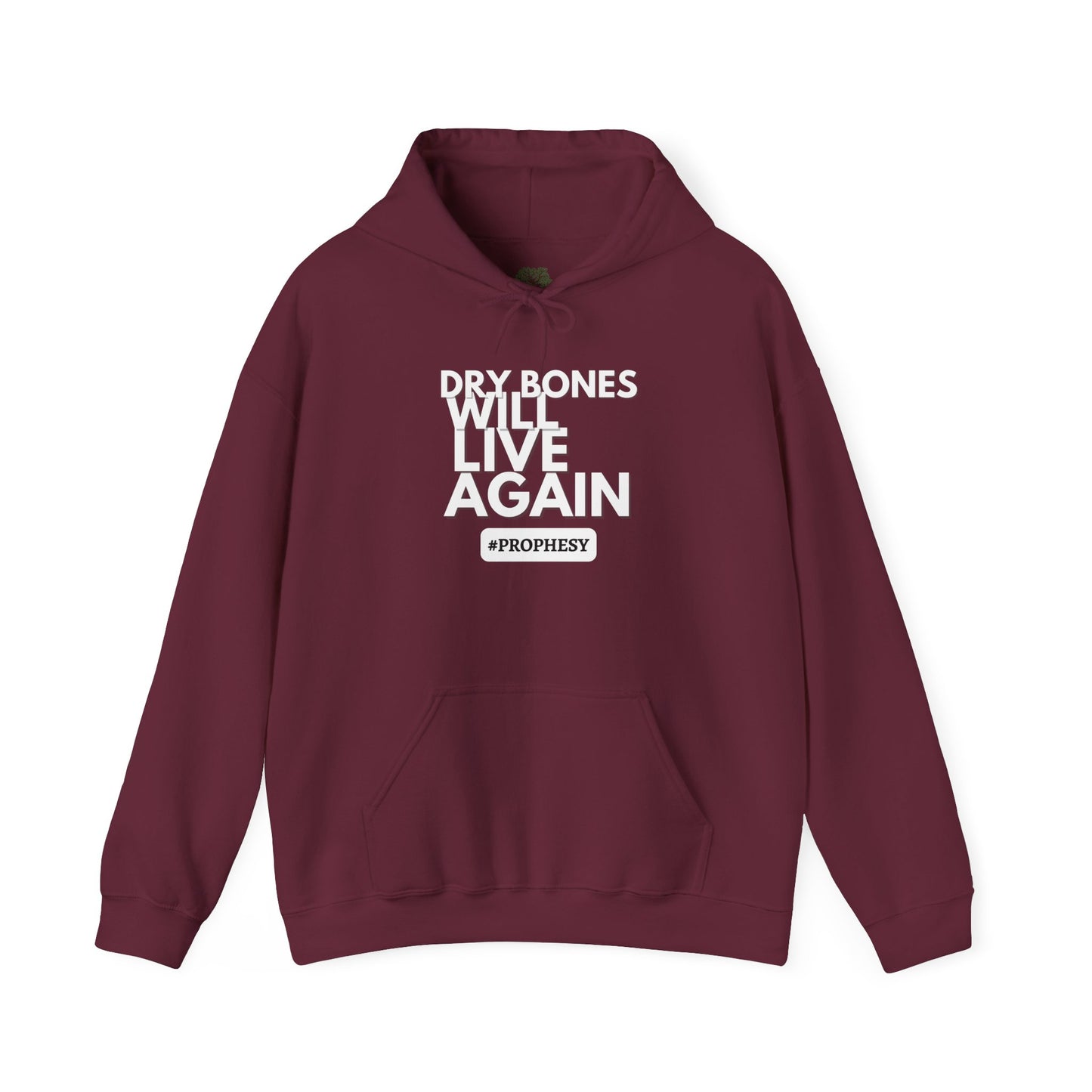 'Dry Bones Will Live Again' Unisex Sweatshirt