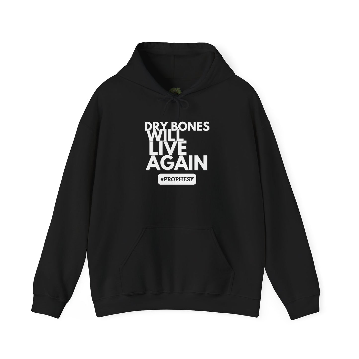 'Dry Bones Will Live Again' Unisex Sweatshirt