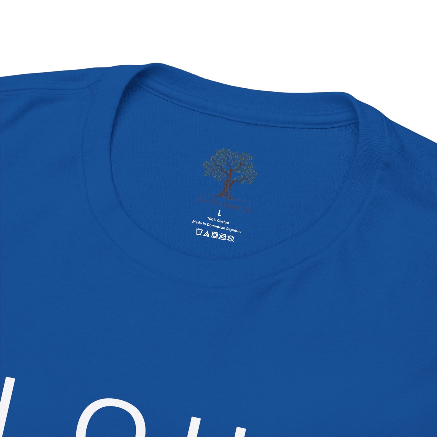 Elohim Unisex Heavy Cotton Tee