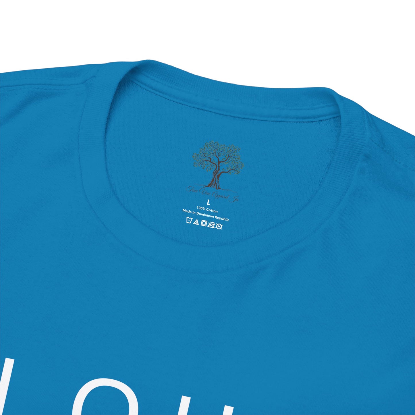 Elohim Unisex Heavy Cotton Tee